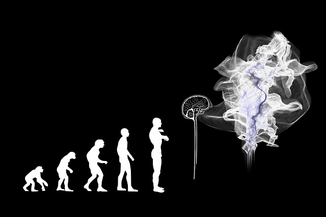 Evolution of Man and Artificial Intelligence